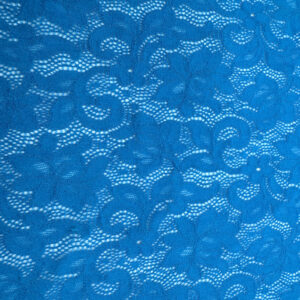 Blue Cotton Mesh Floral Lace